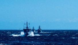 Samarbetet mellan Finland och Sverige fortsätter med en minröjningsövning